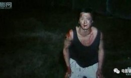 国产性虐,揭秘国产影视作品中的独特魅力与争议